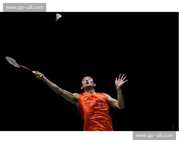 巅峰对决，羽坛传奇：谌龙与林丹的经典之战，一场不容错过的视觉盛宴